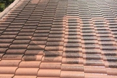 cleanroof1_preview